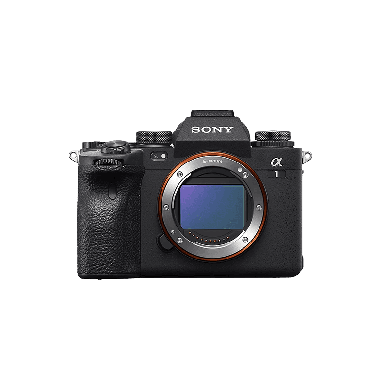 Sony A1